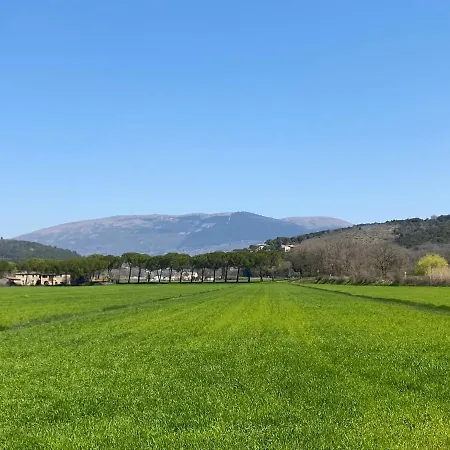 Hébergement de vacances Le Di Lisetta Homes