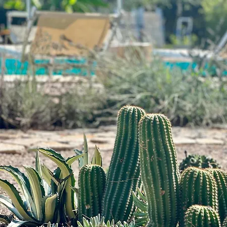 Le Di Lisetta Homes Hébergement de vacances *