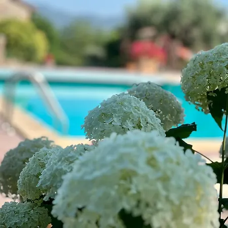 Le Di Lisetta Homes * Corciano