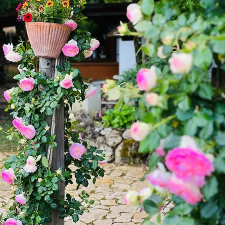 Le Di Lisetta Homes *