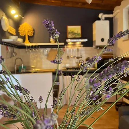Le Di Lisetta Homes * コルチャーノ