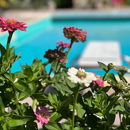 Le Di Lisetta Homes Hébergement de vacances *