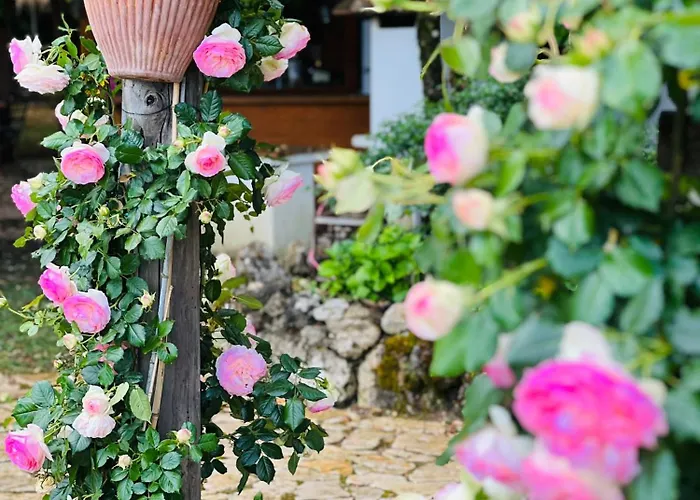 Le Di Lisetta Homes *