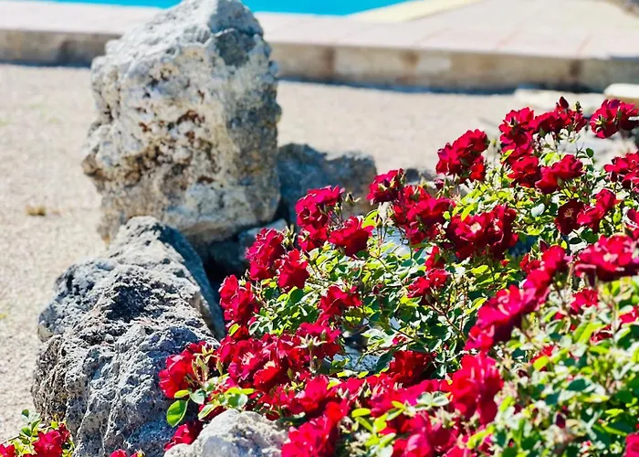 Le Di Lisetta Homes *