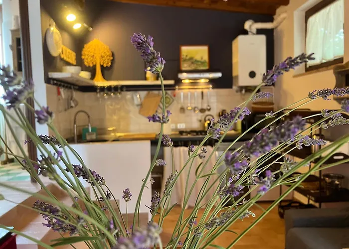 Le Di Lisetta Homes * Corciano